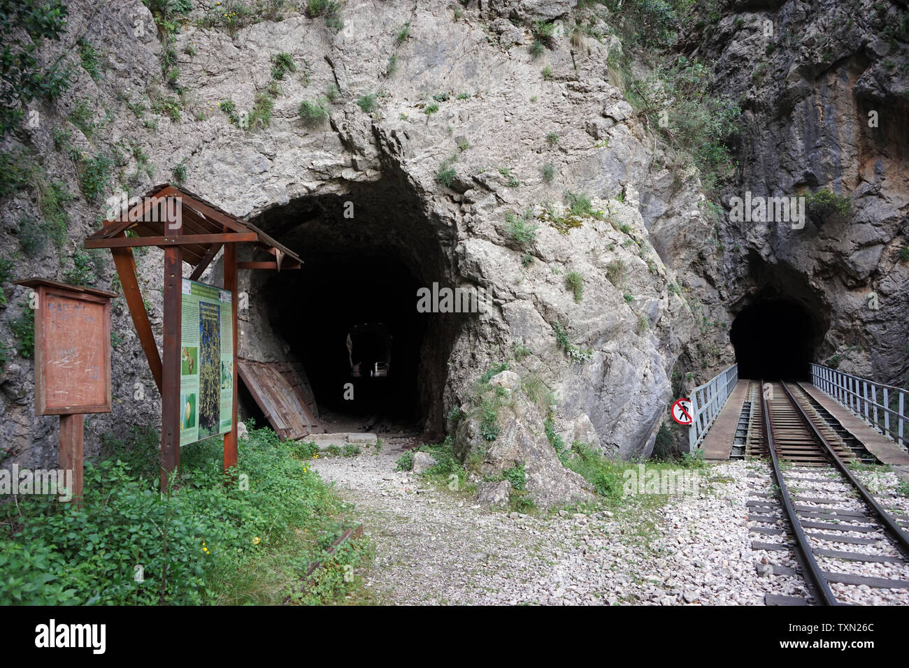 Due gallerie di Vouraikos gorge vicino a Diakopto, Grecia Foto Stock