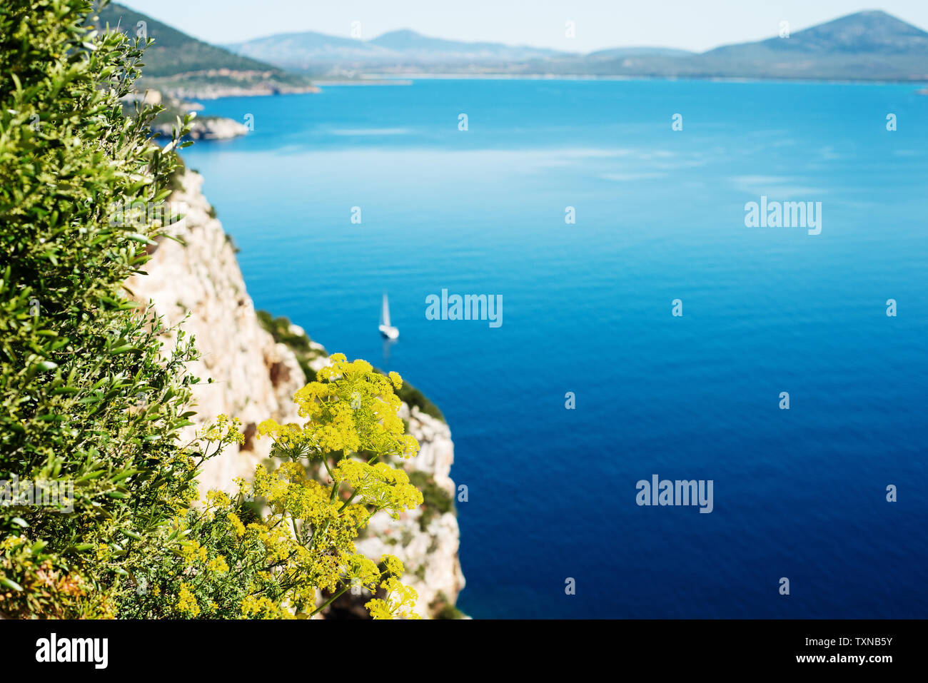 Vista panoramica del mare blu dalla scogliera, elevati shallow focus vista, Alghero, Sardegna, Italia Foto Stock