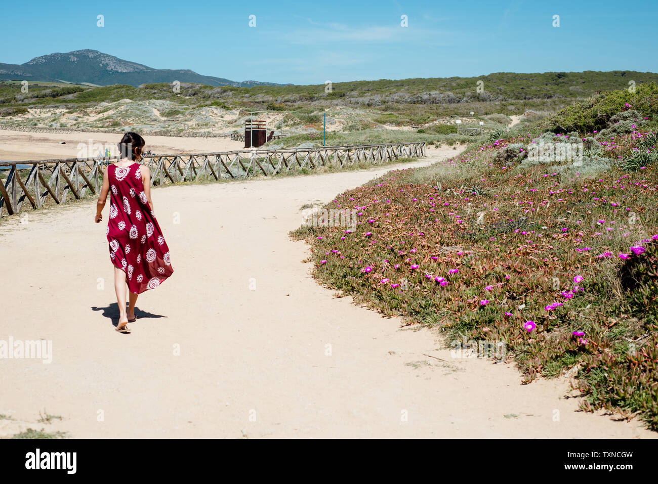 Giovane donna oltrepassando i fiori sulla spiaggia, Alghero, Sardegna, Italia Foto Stock