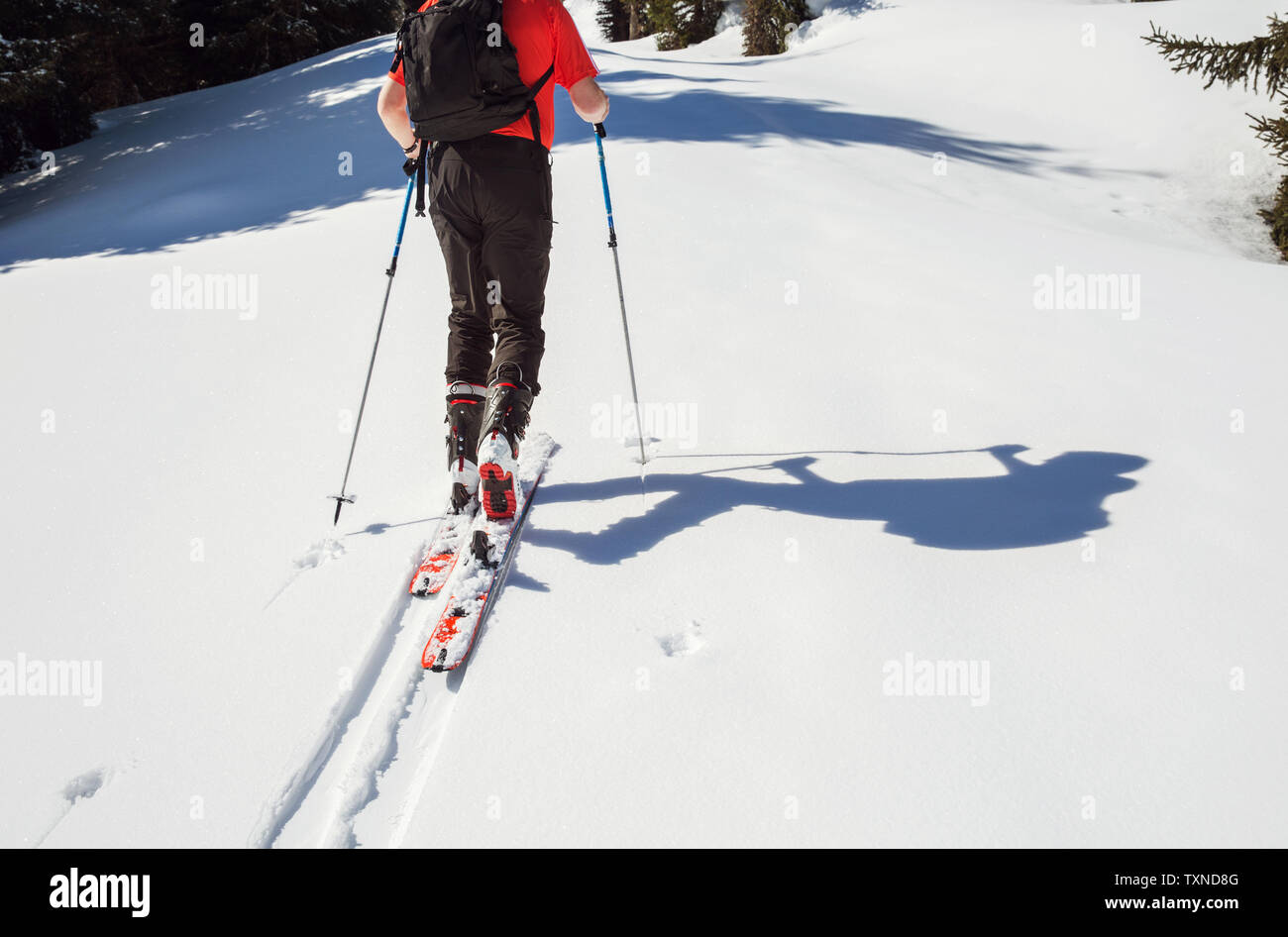 Maschio maturo sciatore spostando fino in coperta di neve montagna, collo in giù in vista posteriore, Stiria, Tirolo, Austria Foto Stock