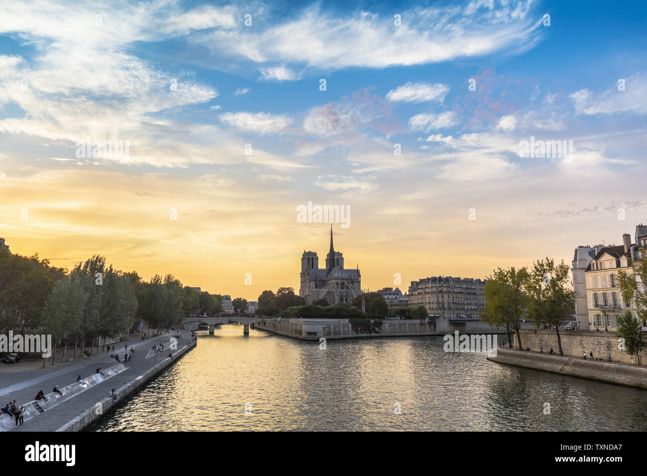 Senna e Notre Dame, Paris, Francia Foto Stock