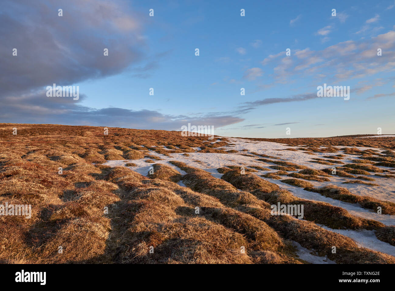 Tundra ghiacciata, Grindavík, Gullbringusysla, Islanda Foto Stock