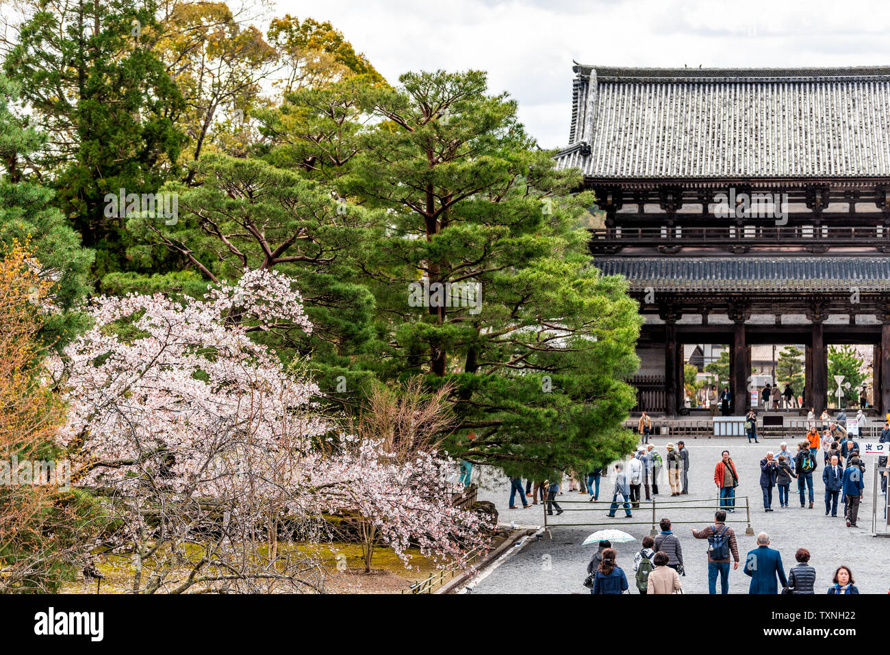 Kyoto, Giappone - 10 Aprile 2019: fiore di ciliegio fiori a Ninna-ji entrata uscita con persone i turisti a piedi Foto Stock