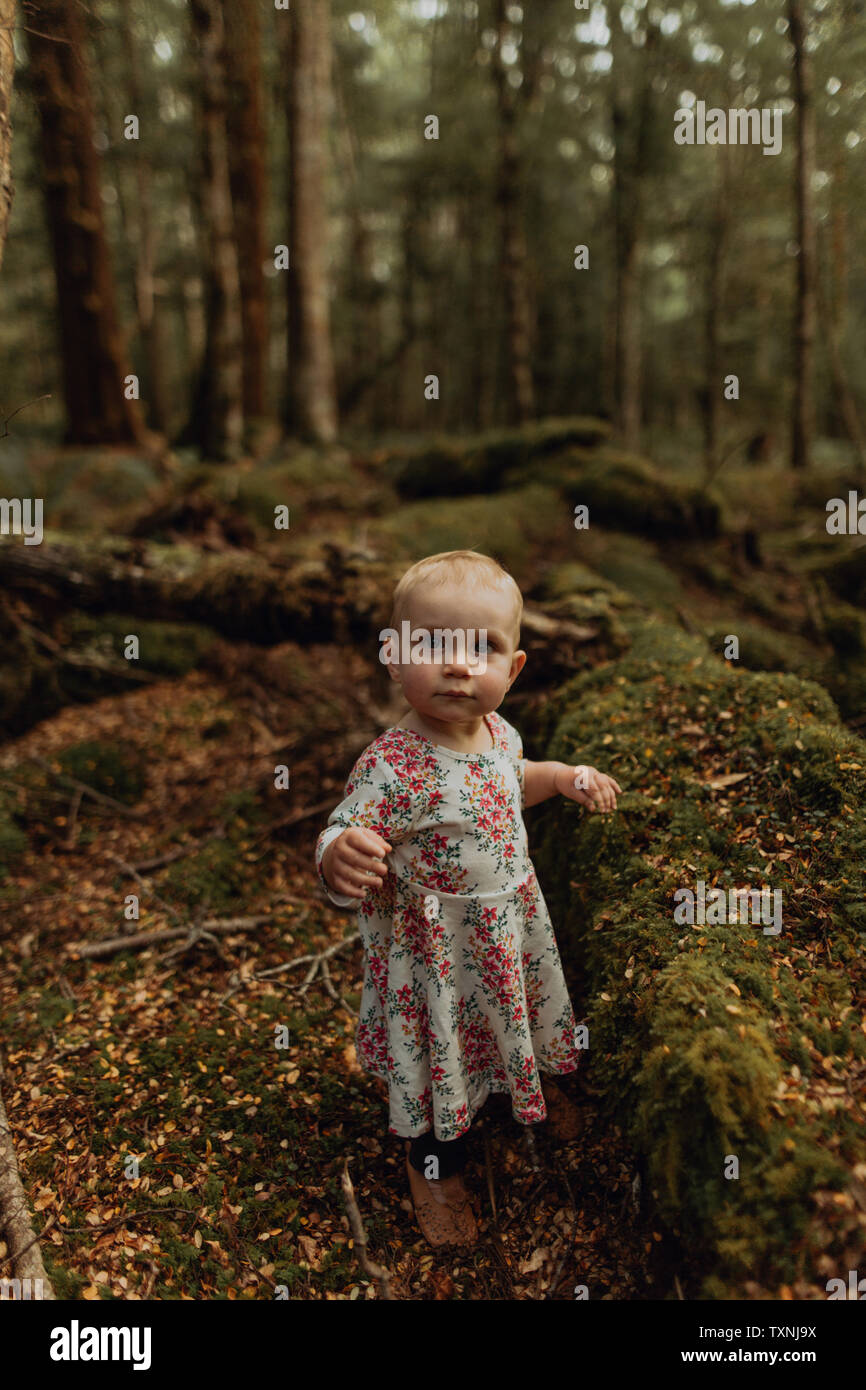 Baby girl ad esplorare la foresta, Queenstown, Canterbury, Nuova Zelanda Foto Stock