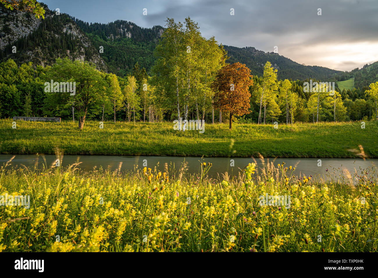 Tramonto al fiume Ammer banca in Oberammergau, Germania Foto Stock