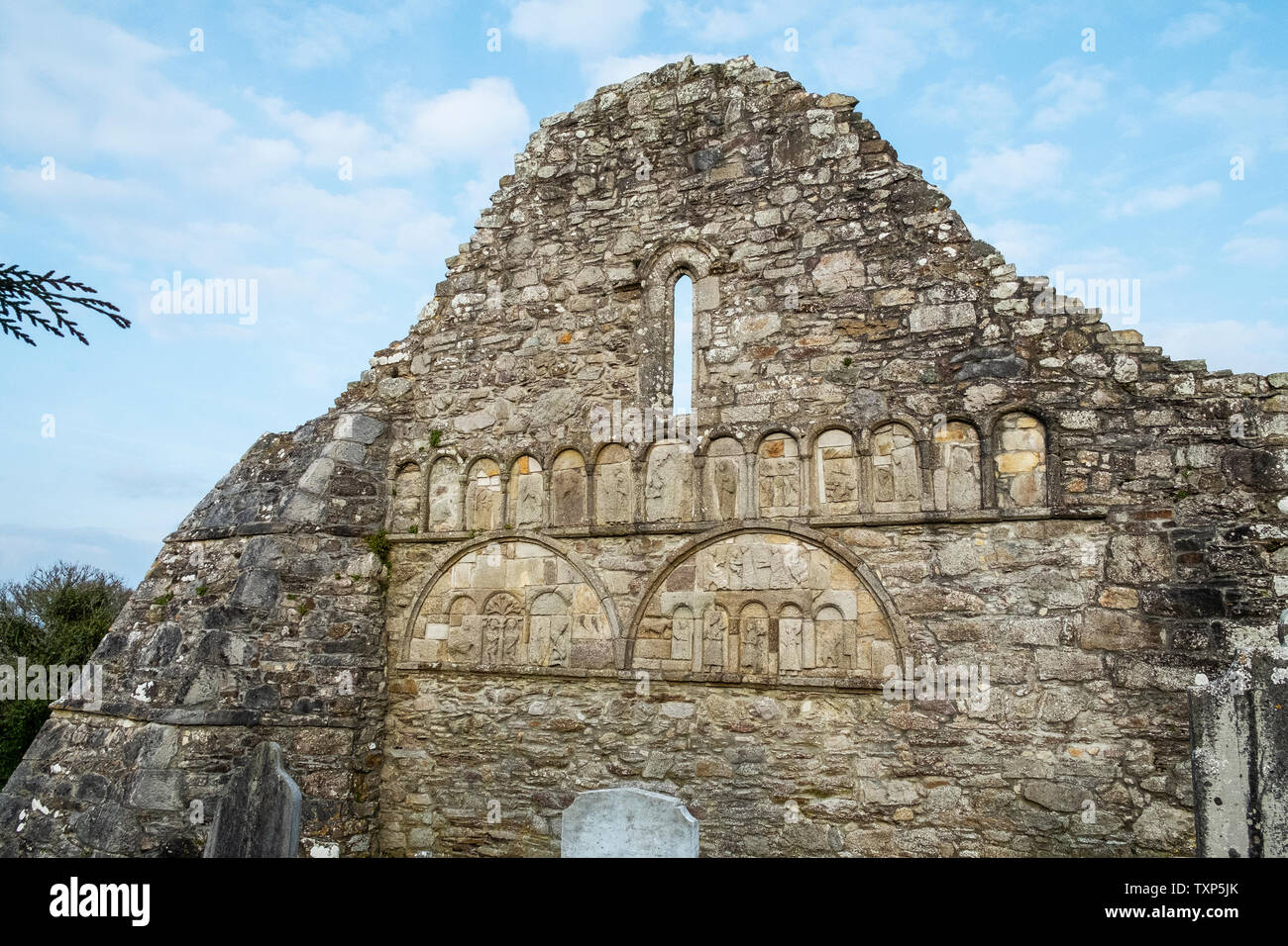 Ardmore cattedrale, Waterford, Irlanda Foto Stock