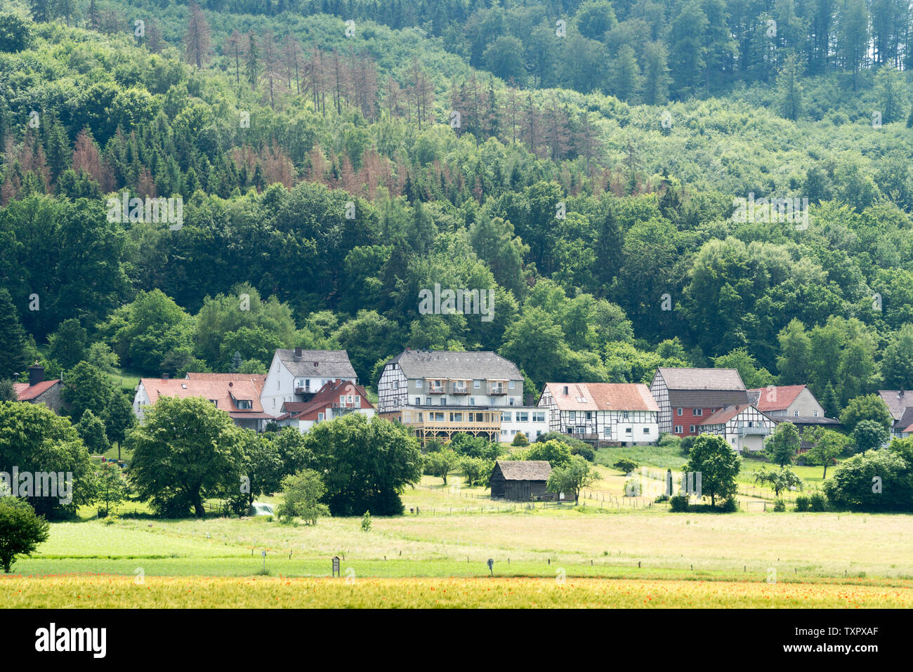 Villaggio Valdese di Gewissenruh, Oberweser, Superiore Valle Weser, Weser Uplands, Weserbergland, Hesse, Germania Foto Stock