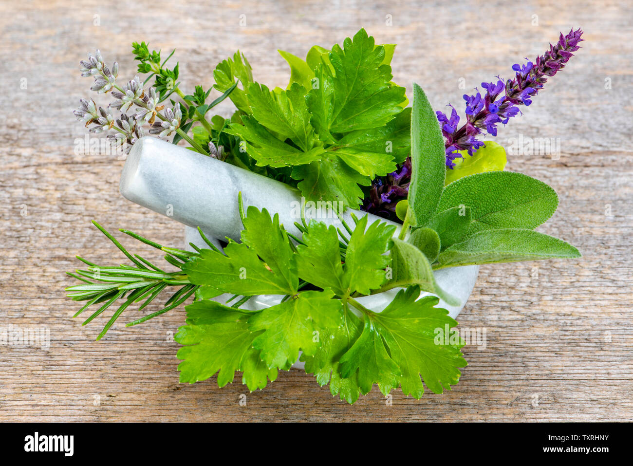 Medicina alternativa con piante medicinali Foto Stock