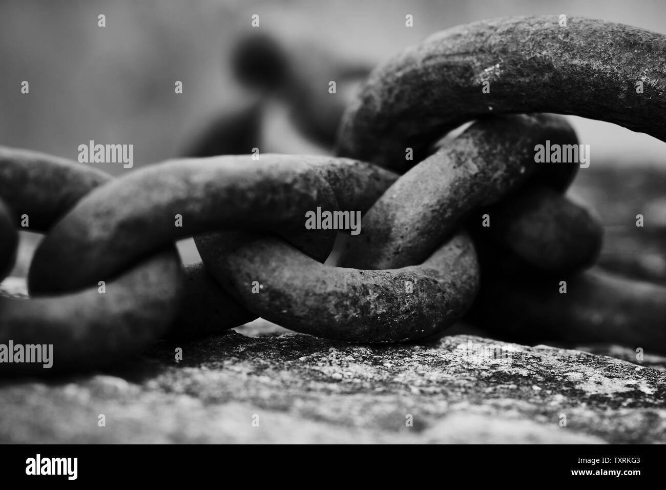 Immagine in bianco e nero di una catena di grandi dimensioni che giace su di una pietra Foto Stock
