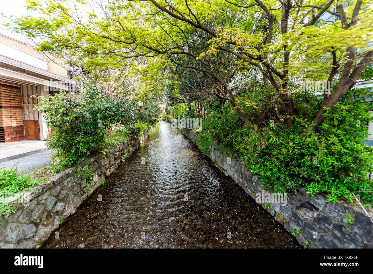 Kyoto residenziale quartiere tranquillo in primavera con il fiume Takase canal in aprile in Giappone sulla giornata soleggiata con alberi verdi Foto Stock