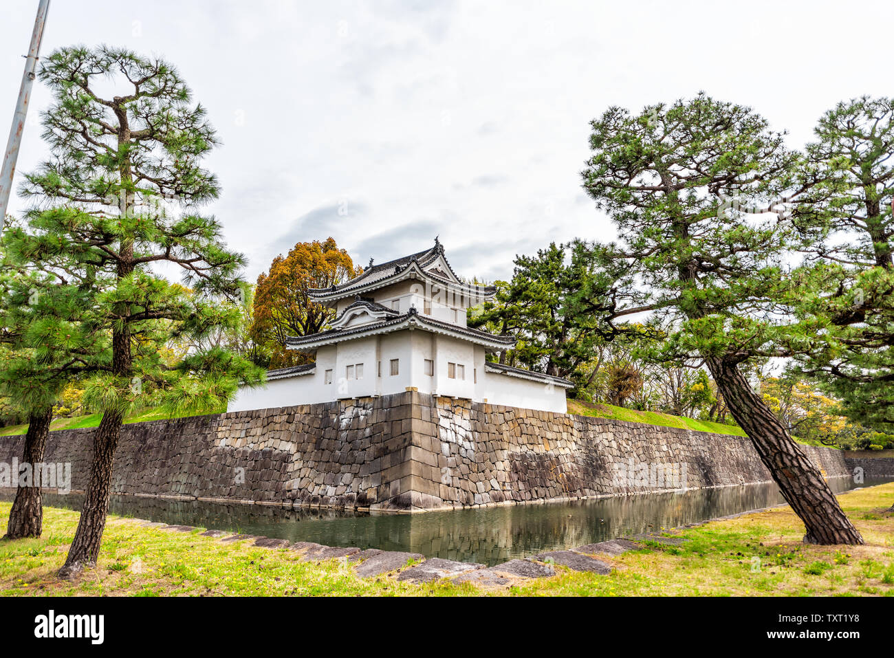 Ampio angolo di primo piano del Castello di Nijo parete fortezza e il fossato in primavera con la potatura di alberi di bonsai e cielo Foto Stock