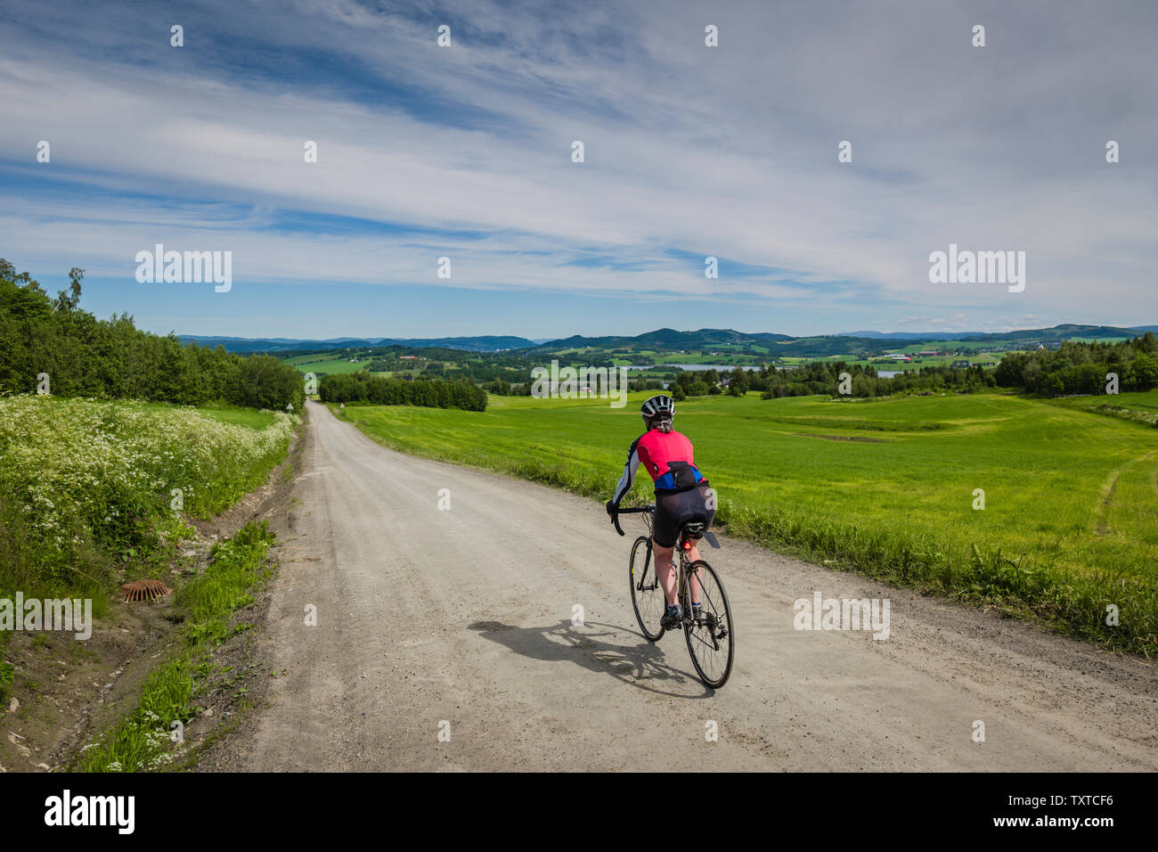 Strade di ghiaia intorno Borgjafjorden a nord di Trondheim, Norvegia. Foto Stock