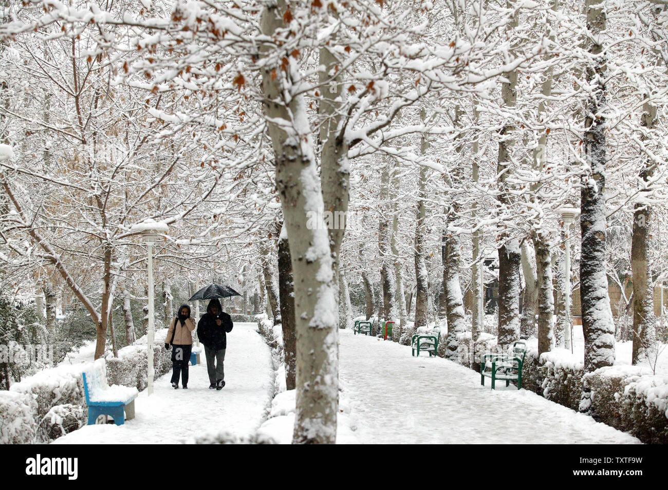 Un giovane iraniana scudi stessi con un ombrello come essi fare una passeggiata attraverso la coperta di neve Laleh Park a Tehran, Iran il 6 gennaio 2008. La neve ricopriva Teheran e molte altre città in tutto il paese che conduce alla chiusura delle scuole e persino in alcune università sia nella capitale e in altre città. Molte strade che conducono a Teheran e la maggior parte delle strade di tutto il paese e in particolare nel nord, nord-ovest e le parti occidentali, sono state bloccate a causa delle pesanti nevicate e bufere di neve. Lo stato compagnie di aviazione (HOMA) annullato tutti i voli nazionali fino a metà giornata di domenica, IRNA r Foto Stock