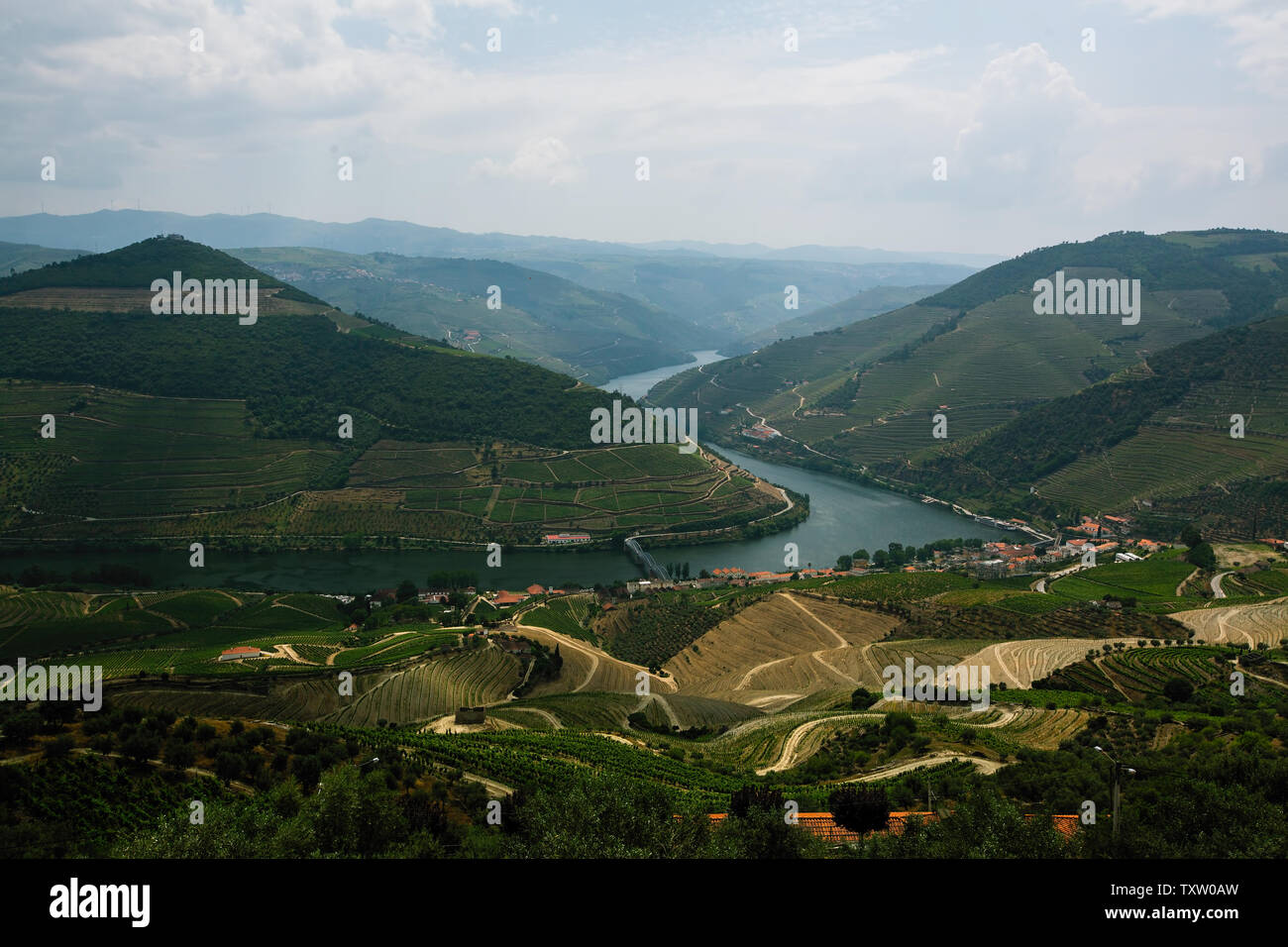 Vista superiore della valle del Douro e vigneti, Porto, Portogallo. Foto Stock