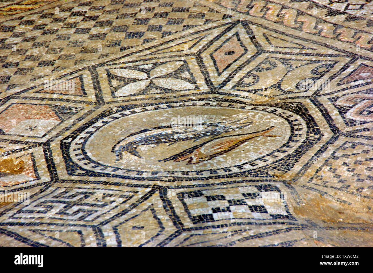 Uno dei primi cristiani mosaico di pesce è visto nelle rovine di un recentemente scavato rare chiesa cristiana risalente al 3a-4a. secolo D.C. per motivi di Meghiddo prigione nel nord di Israele, 8 novembre 2005. Più di 60 detenuti hanno partecipato gli scavi che hanno rivelato un mosaico iscrizione dichiarando che era stato dedicato a "il Dio di Gesù Cristo come un memoriale.' (UPI foto/Debbie Hill) Foto Stock