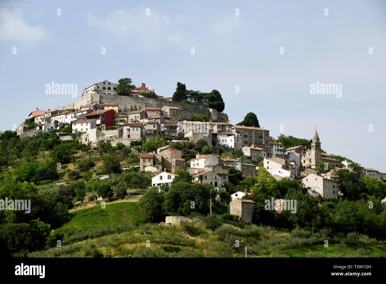 Montona il villaggio sulla collina famosa per i suoi tartufi in Istria, Croazia Foto Stock