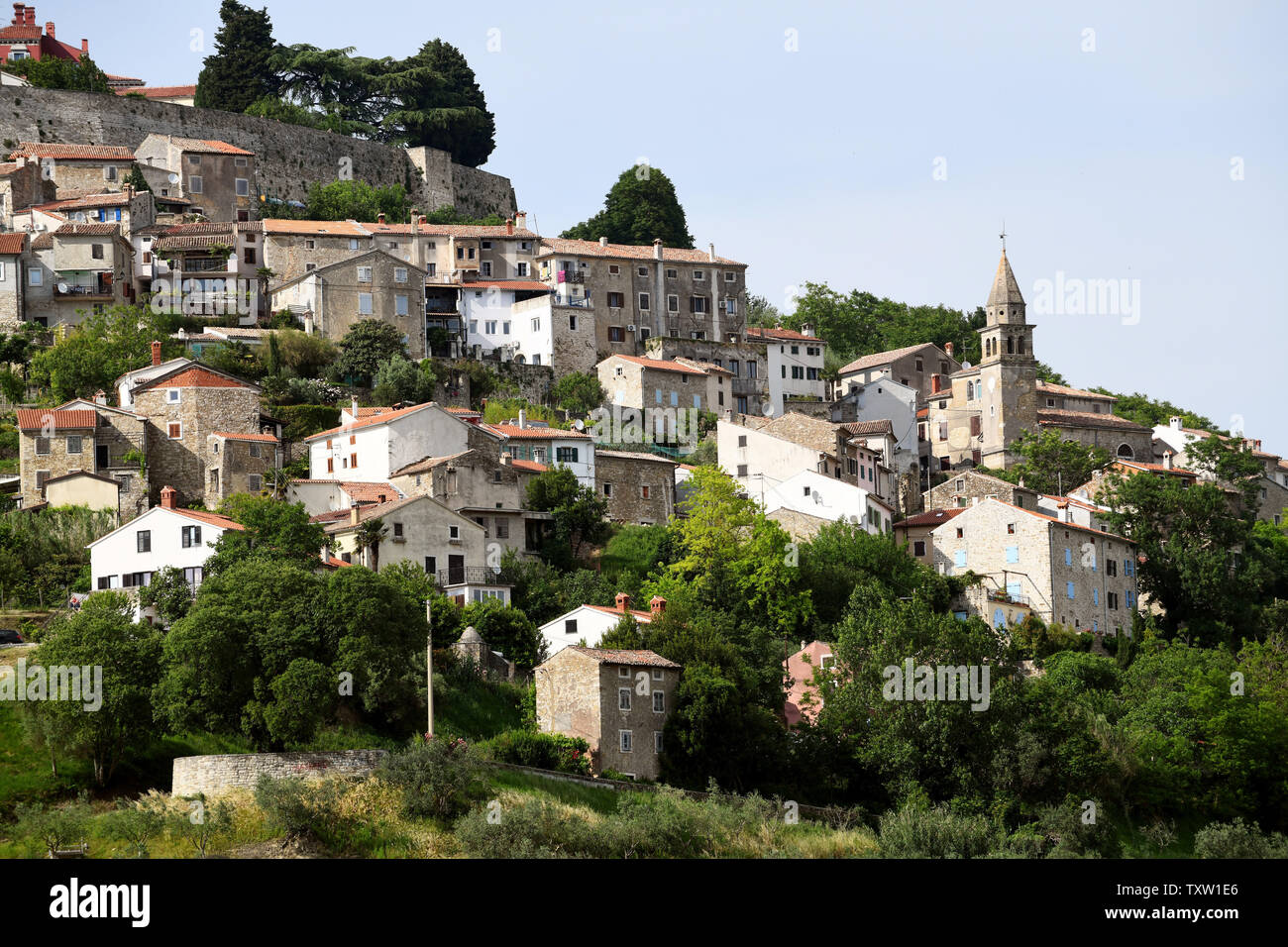 Montona il villaggio sulla collina famosa per i suoi tartufi in Istria, Croazia Foto Stock