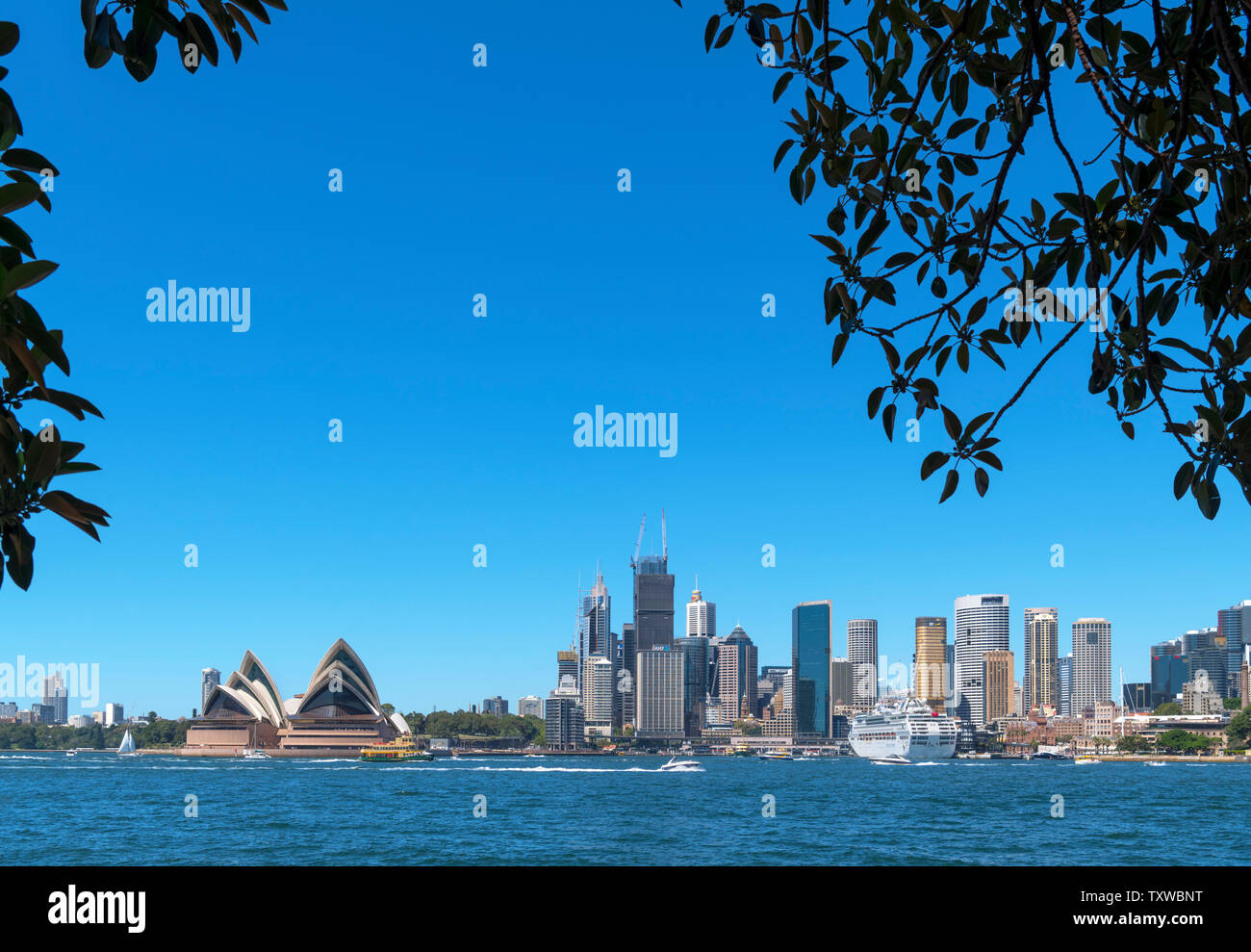 Skyline di Sydney. La Opera House di Sydney e il quartiere centrale degli affari di Kirribilli, Sydney, Australia Foto Stock