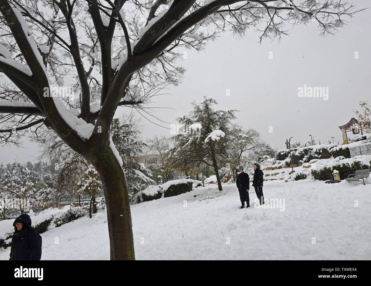 Gli israeliani di godere la neve in Sacher Park nel centro di Gerusalemme, Israele, 10 gennaio 2013. Gerusalemme si fermò e la chiusura di scuole e alle principali autostrade, come otto pollici di neve girato la città santa in bianco la più grande nevicata dal 1992. UPI/Debbie Hill. Foto Stock