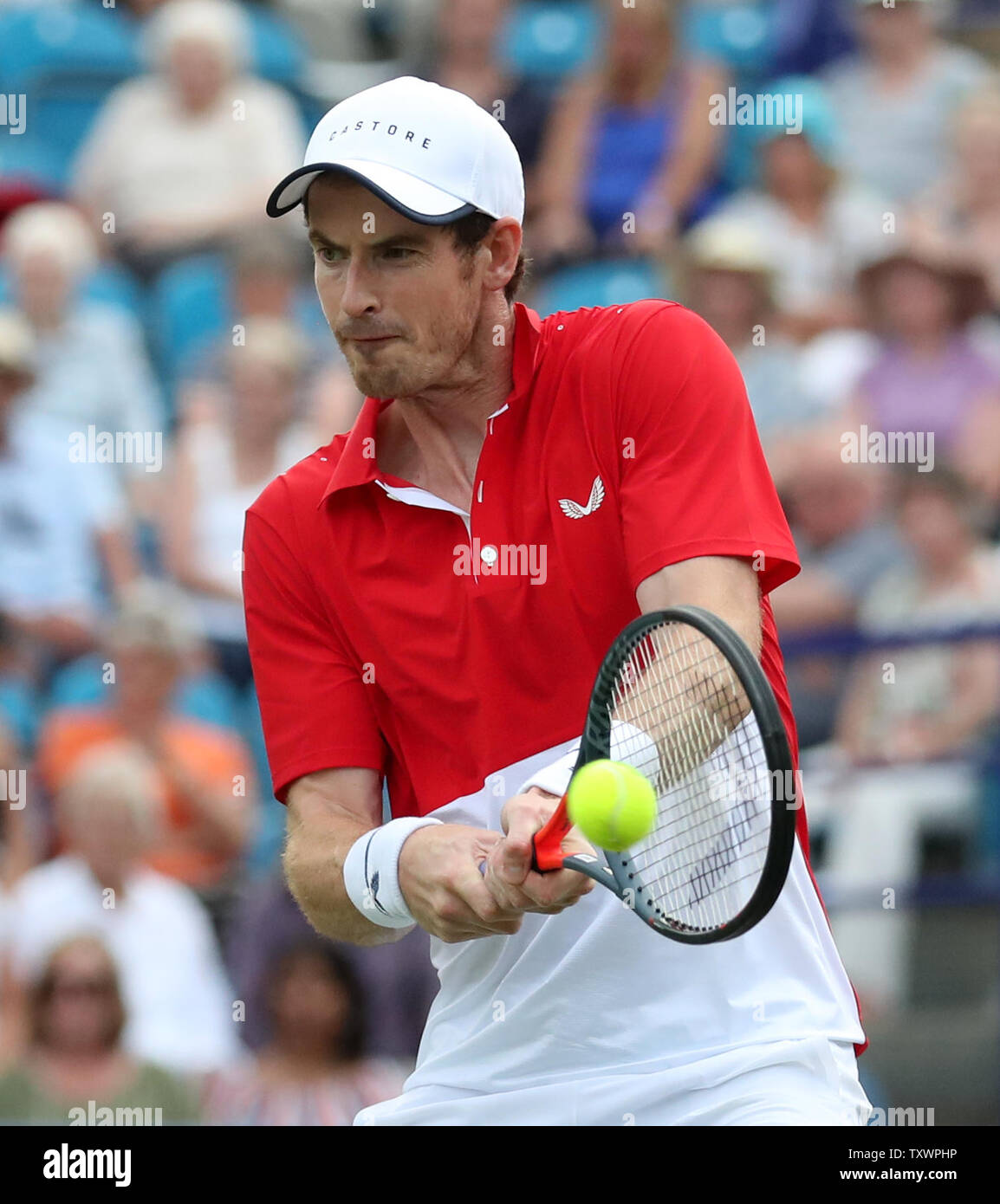 La Gran Bretagna di Andy Murray in azione con il compagno di squadra Marcelo Melo contro Juan Sebastian cavo e Robert Farah durante il giorno tre della natura internazionale della valle in Devonshire Park, Eastbourne. Foto Stock