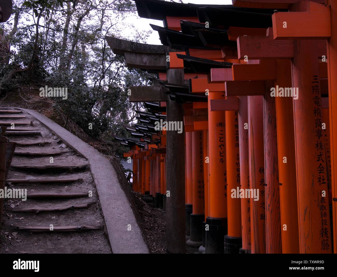 Red torii gates a Fushimi Inari Taisha, e scale a Inari Mountain Foto Stock