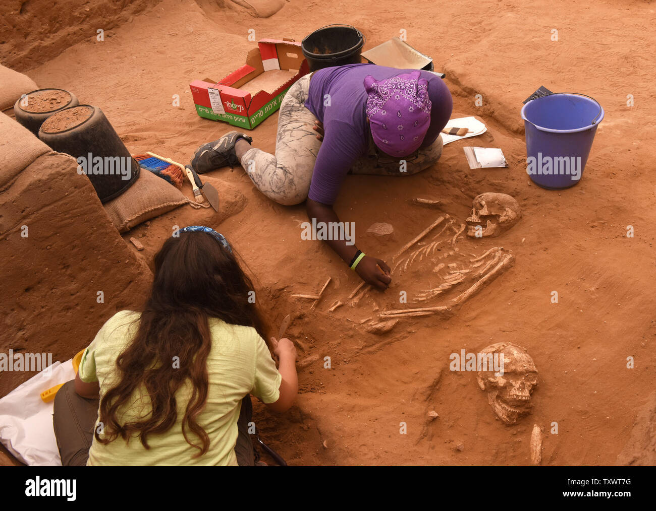 Lavoratori scoprire le ossa dei Filistei a una rivoluzionaria scoperta del primo cimitero Filisteo trovata nel porto della città di Ashkelon, Israele, 28 giugno 2016. I Filistei erano noti come la archenemy dell antico Israele dalla Bibbia ebraica.La scoperta è il risultato di oltre trenta anni di scavi alla vista che sono stati effettuati mediante il prelievo di Leon spedizione in Ashkelon. Conclusioni dal cimitero, datata al XI - VIII secolo a.e.v., possono supportare la rivendicazione registrati nella Bibbia che i Filistei erano migranti sulle rive dell antico Israele che sono arrivati da terre a Foto Stock