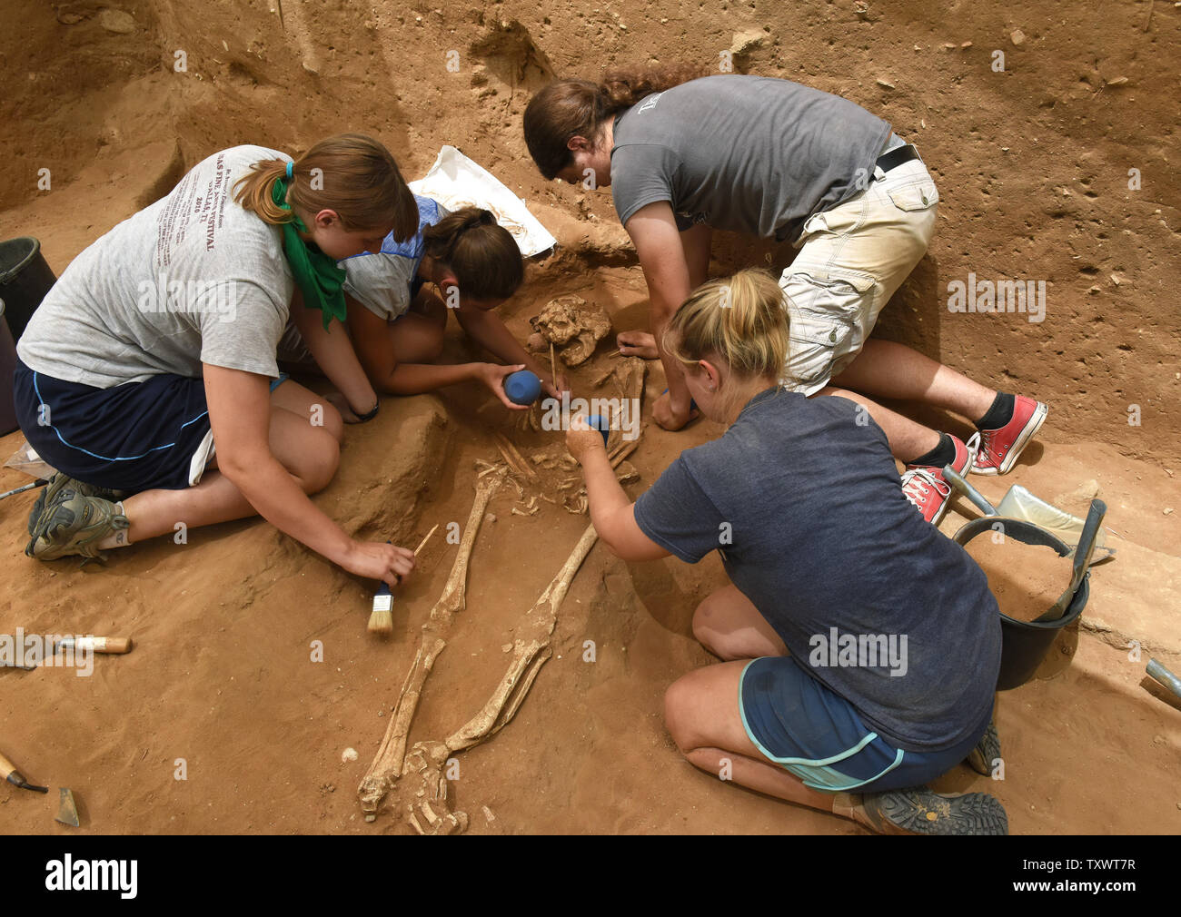 Lavoratori scoprire le ossa di un Filisteo in una rivoluzionaria scoperta del primo cimitero Filisteo trovata nel porto della città di Ashkelon, Israele, 28 giugno 2016. I Filistei erano noti come la archenemy dell antico Israele dalla Bibbia ebraica.La scoperta è il risultato di oltre trenta anni di scavi alla vista che sono stati effettuati mediante il prelievo di Leon spedizione in Ashkelon. Conclusioni dal cimitero, datata al XI - VIII secolo a.e.v., possono supportare la rivendicazione registrati nella Bibbia che i Filistei erano migranti sulle rive dell antico Israele che sono arrivati da terre a th Foto Stock