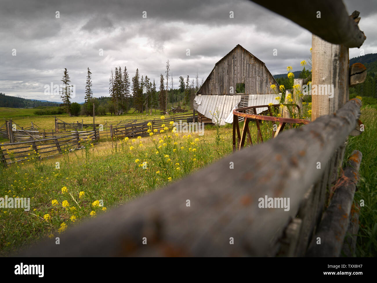 Weathered Ranch Fienile Nicola Valley British Columbia. Un vecchio fienile spiovente in Nicola Valley, British Columbia, Canada. Foto Stock