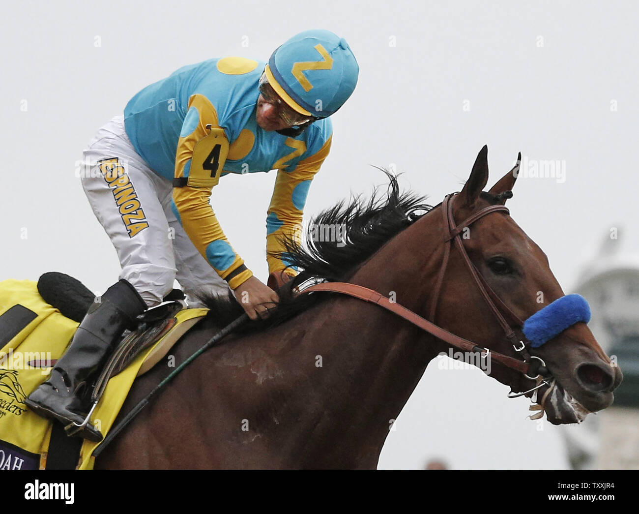 Victor Espinoza, sulla cima di American Faraone, guarda indietro per il resto del campo come egli vince il Breeders Cup Classic a Keeneland Racecourse in Lexington, Kentucky, il 31 ottobre 2015. Foto di Mark Abramo/UPI Foto Stock