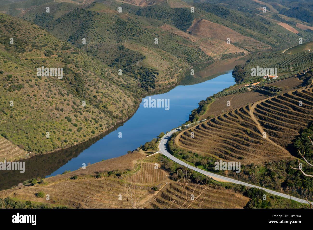 Vista del fiume Douro con vigneti terrazzati nei pressi del villaggio di Foz Coa, in Portogallo; concetto per il viaggio in Portogallo e in luoghi più belli in porto Foto Stock