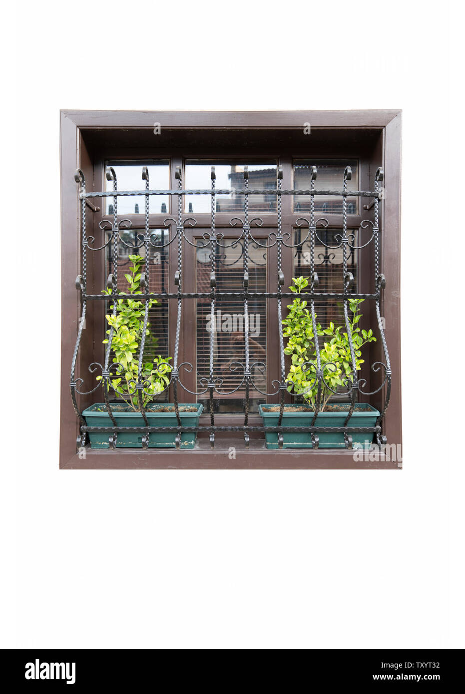Una finestra in legno con bella guardia di ferro e verde fiore in isolati sullo sfondo bianco. Foto Stock