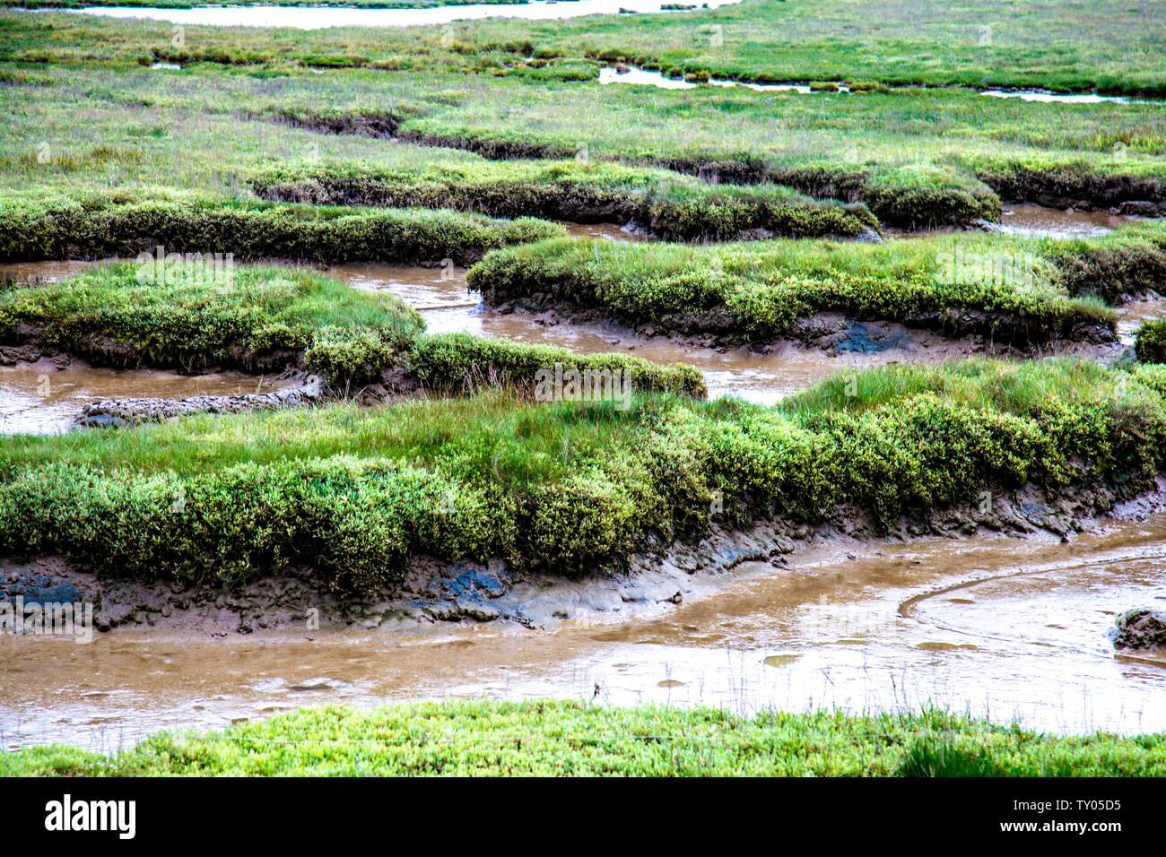 Falkenham paludi dal fiume Deben estuario, Felixstowe, Suffolk, Regno Unito Foto Stock