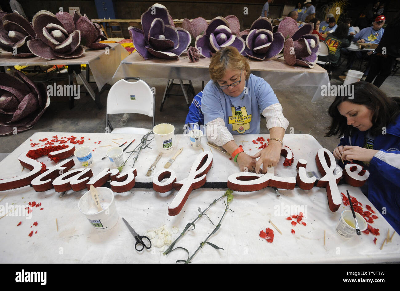 Volontari luogo fiori freschi sul galleggianti come preparazioni sono fatte per il centoventesimo Rose Parade di Pasadena, in California, il 30 dicembre 2008. Quest'anno la sfilata è a tema Hats Off to entertainment e si terrà il 1 gennaio 2009. (UPI Photo/ Phil McCarten) Foto Stock