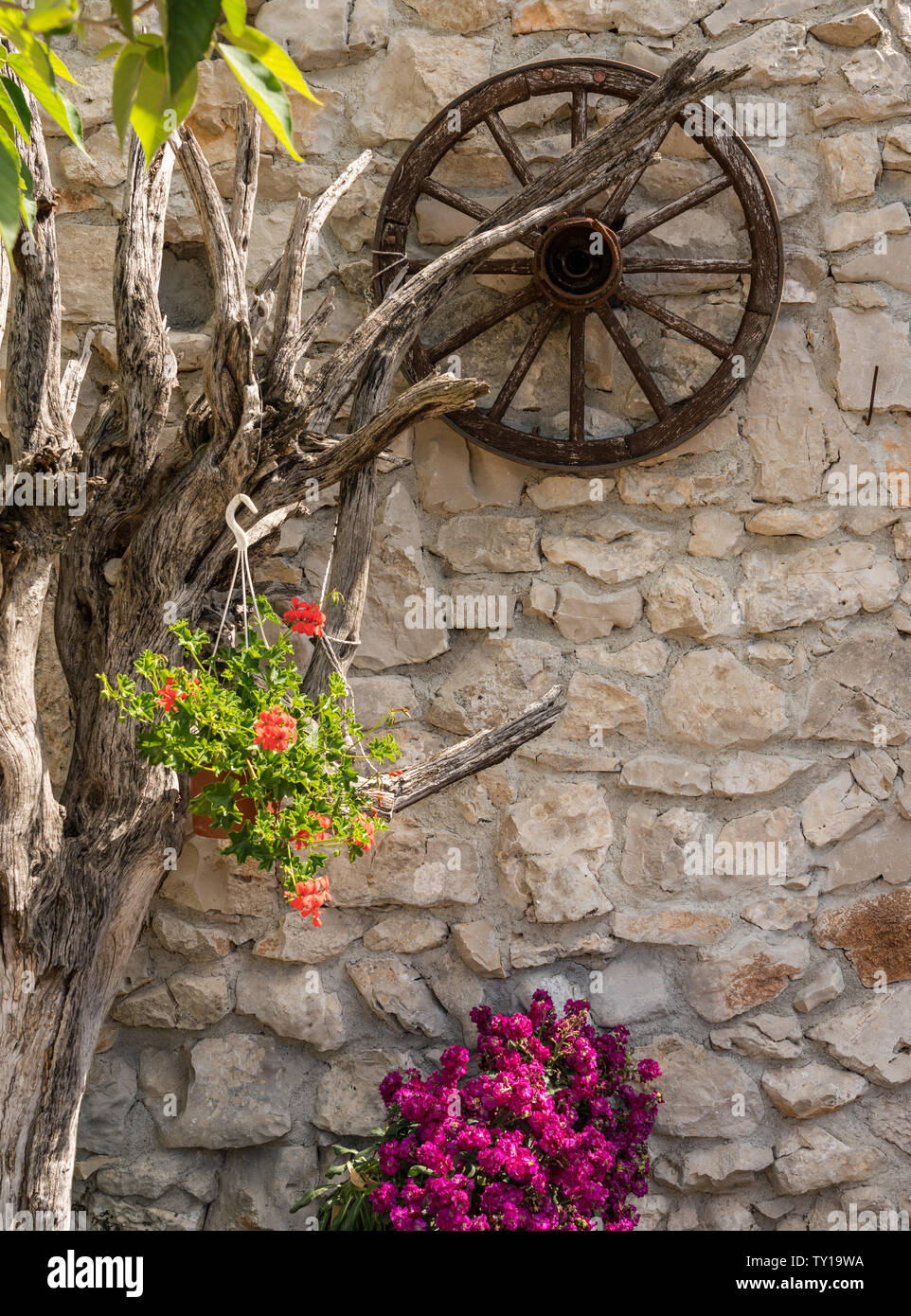 Fiori di colore rosso in artistiche floreali con appoggiate Foto Stock