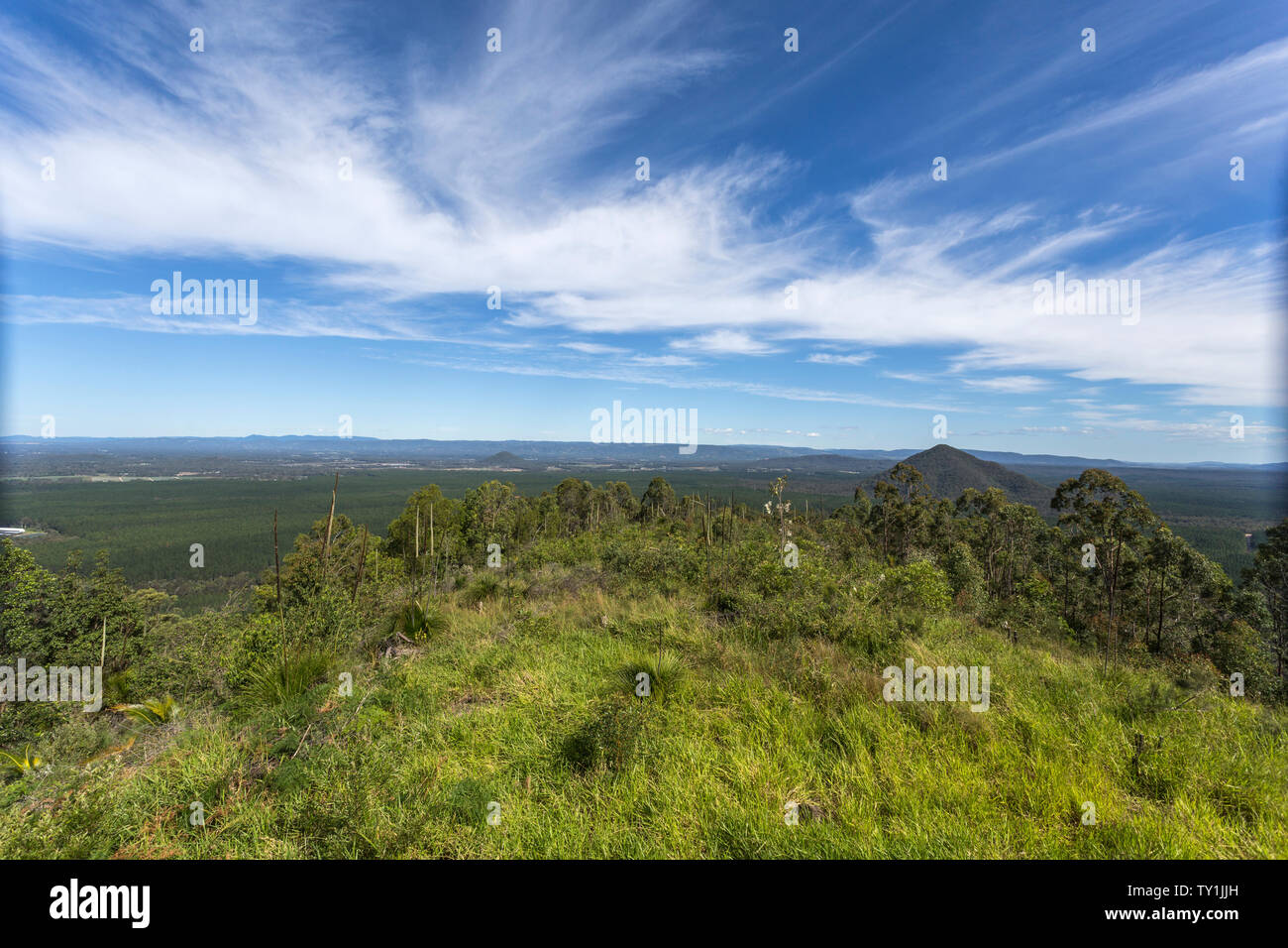 Vista Panoramica verso ovest della cima del monte Beerburrum, casa di vetro montagne, con Grasstree nativo, Xanthorrhoea latifolia, nel foregr Foto Stock