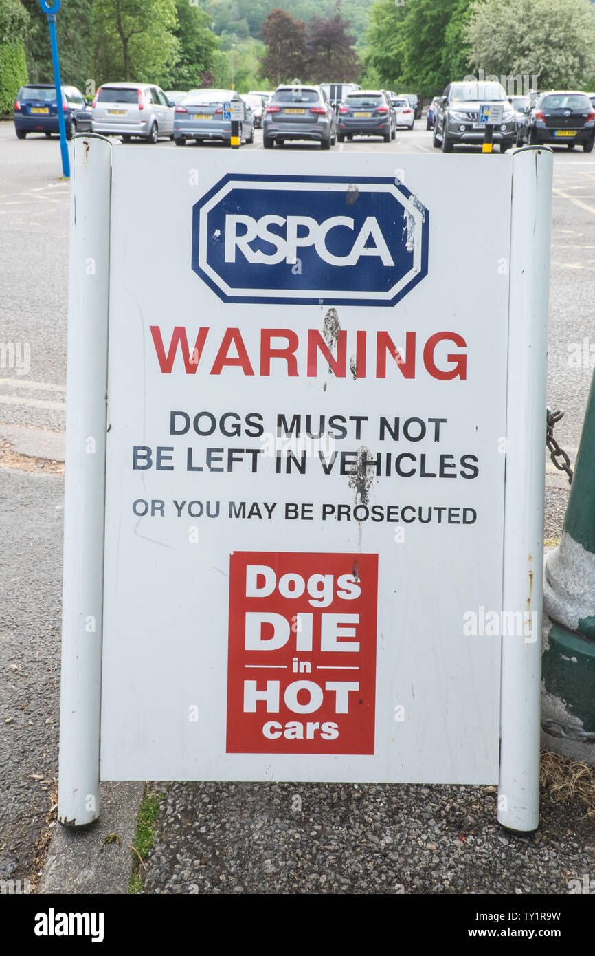 RSPCA,cani,die,a,hot,automobili,.Non lasciare il cane in calore,l'estate,attenzione,a,Ambleside,il Lake District,Lake District,Laghi,Laghi,Cumbria,l'Inghilterra,UK, Foto Stock