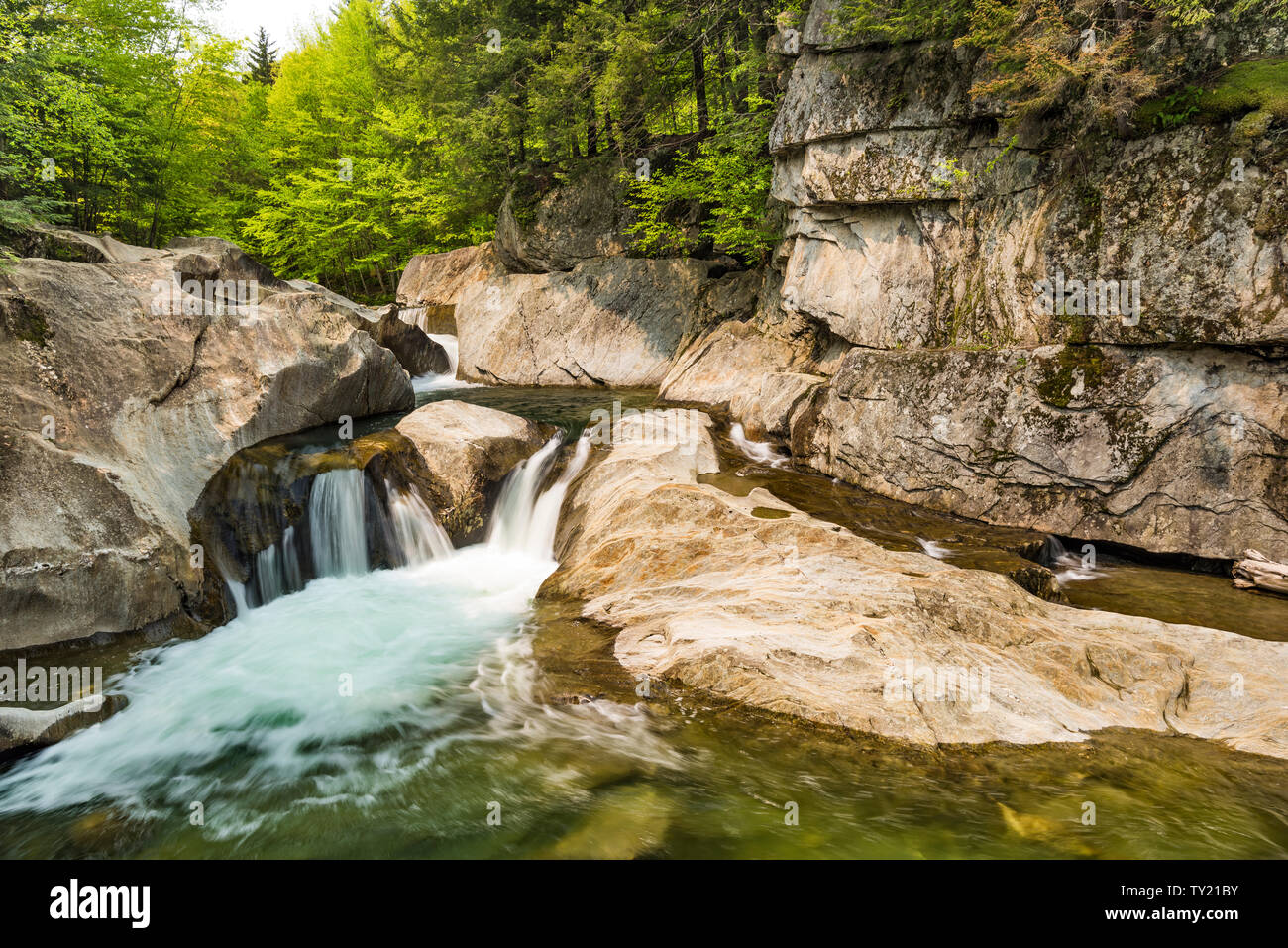 Warren scende su Mad River, Green Mountain National Forest, Washington County, Vermont Foto Stock