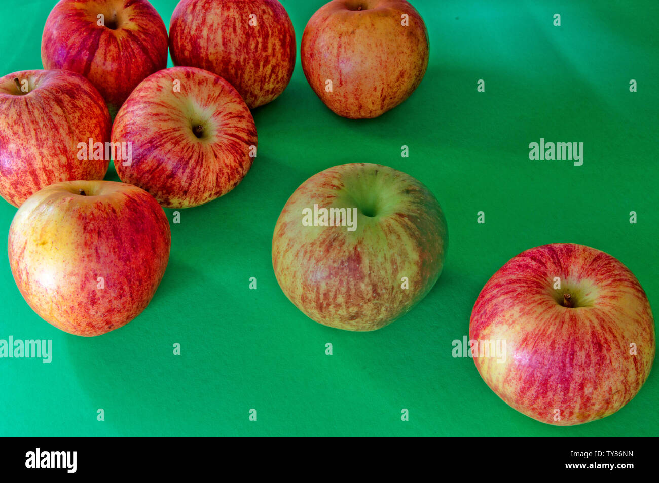Studio Immagine di Pink Lady mele su sfondo verde con uno sbiadito apple. Foto Stock