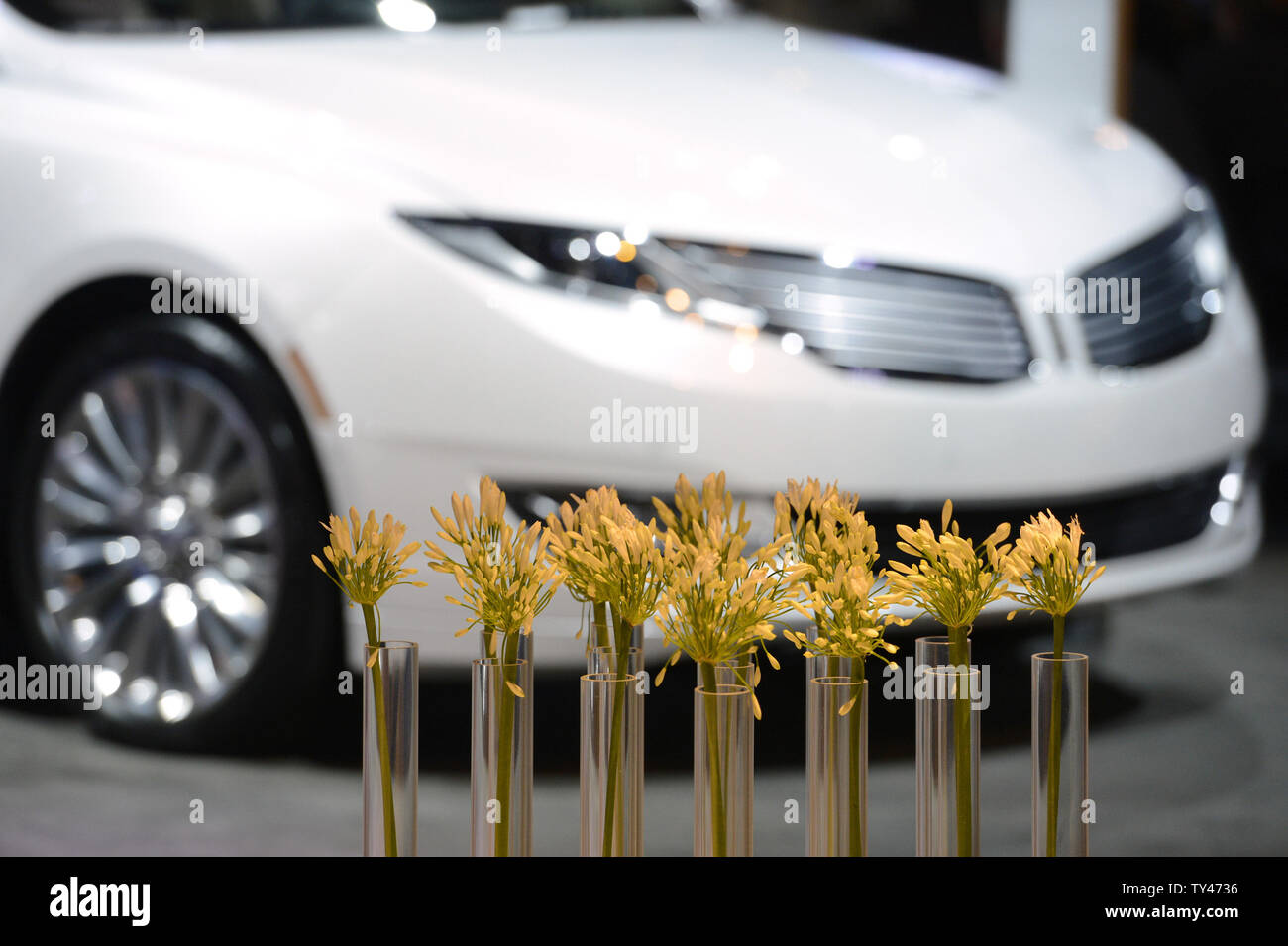 Un 2014 Lincoln MKZ Hybrid è sul display accanto al modello 2014 al 2013 Los Angeles Auto Show tenutosi presso il Convention Centre di Los Angeles, la California il 20 novembre 2013. UPI/Fil McCarten Foto Stock