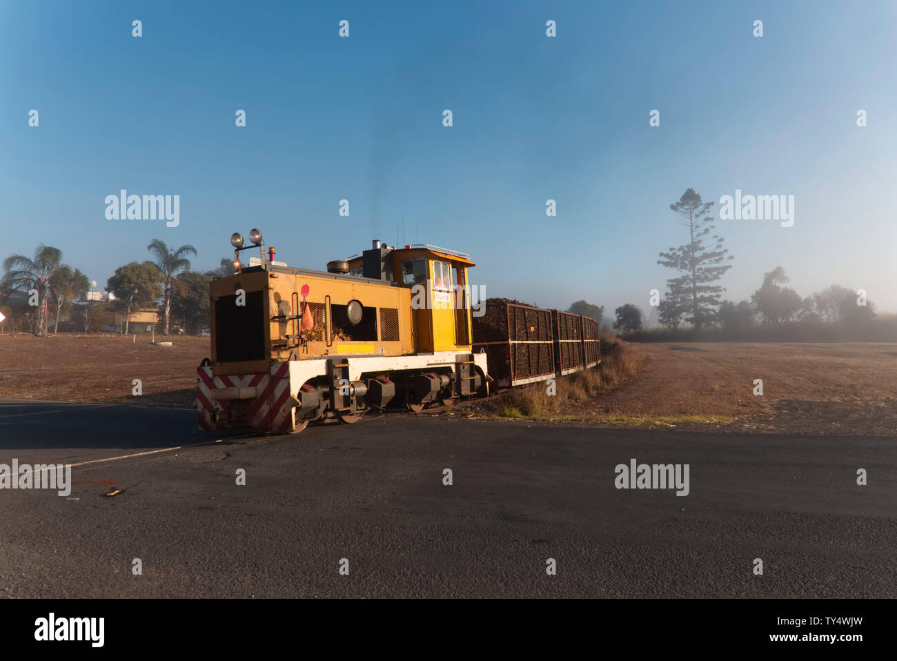 Caricate completamente la canna da zucchero treno tornando al mulino Millaquin Bundaberg Queensland Australia Foto Stock