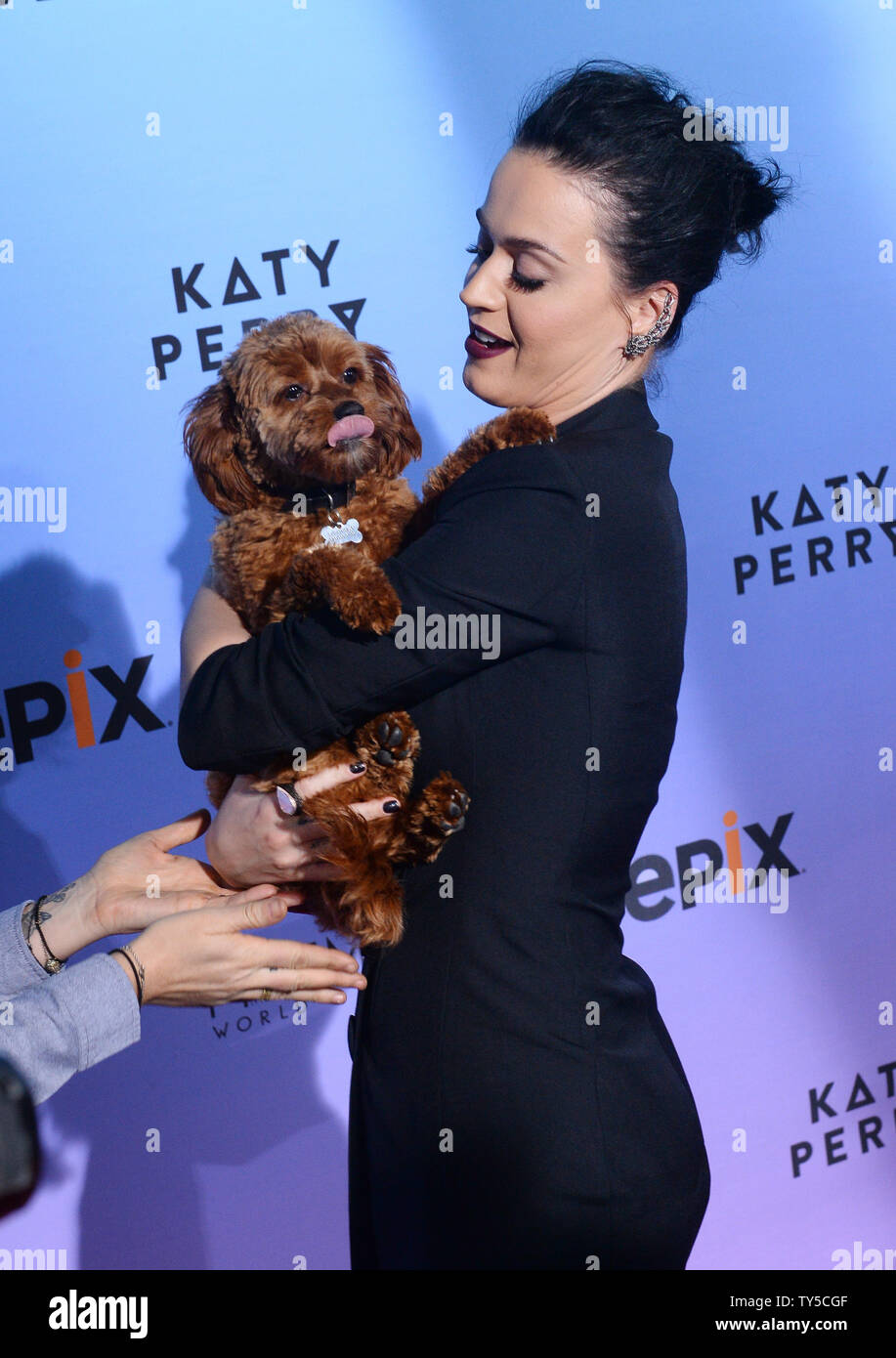 Cantante Katy Perry tiene il suo cane il burro come ella assiste il mondo  lo screening di andare "Katy Perry: Il mondo prismatico Tour' presso il  Teatro di Ace Hotel a Los