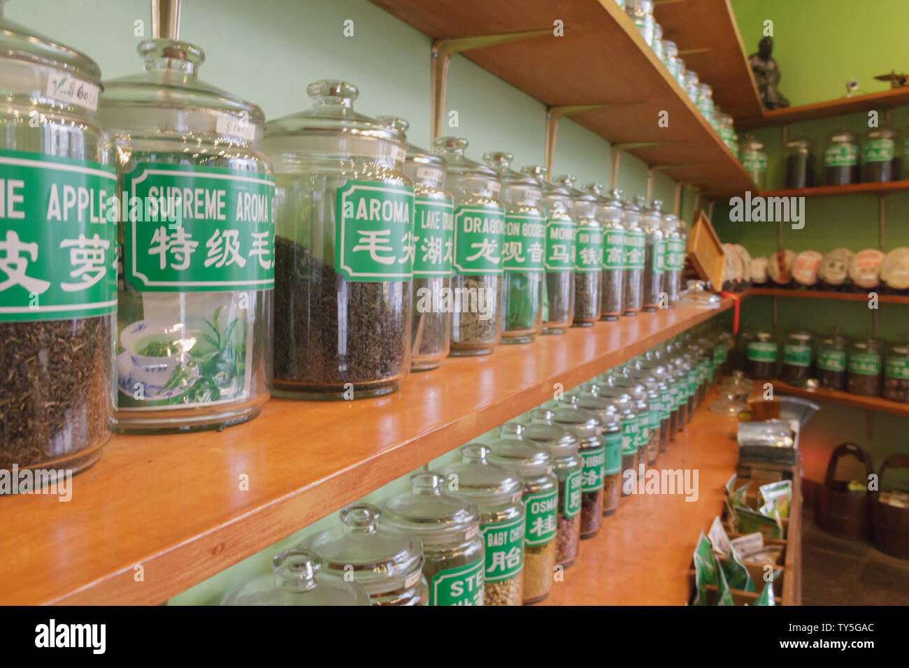 Un ripiano pieno di cinese tradizionale tè del medicinale in grandi vasi di vetro con una etichetta scritta in inglese e in cinese presso la Chinese tea shop. Foto Stock