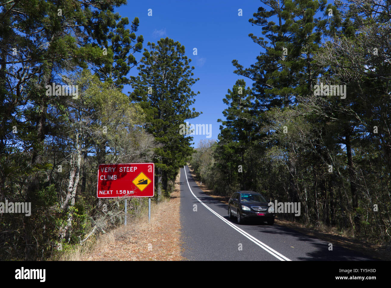 Salita ripida cartello stradale sulla strada in Bunya Mountains National Park Foto Stock