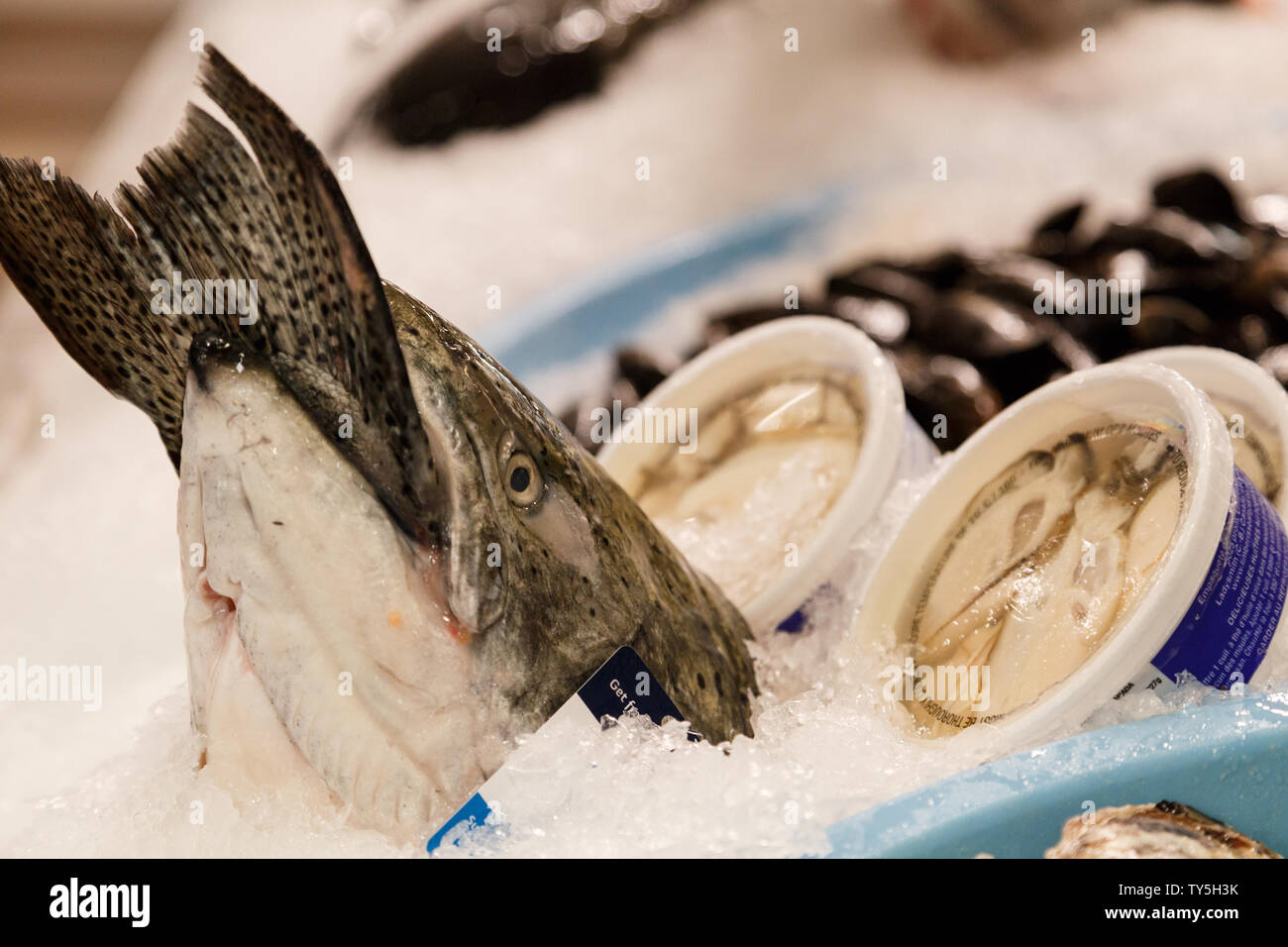 Un salmone fresco e somepackeged prodotti in vendita mostrando una coda bloccata in una bocca del pesce alla Granville Island il mercato pubblico, Vancouver, Canada. Foto Stock Un salmone fresco e somepackeged prodotti in vendita mostrando una coda bloccata in una bocca del pesce alla Granville Island il mercato pubblico, Vancouver, Canada. Foto Stock