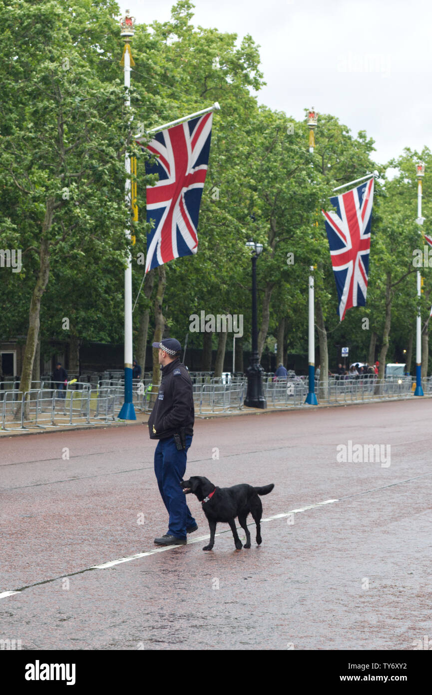 Sniffer di polizia cane con il suo trainer on the Mall per trooping il colore 2019 Foto Stock