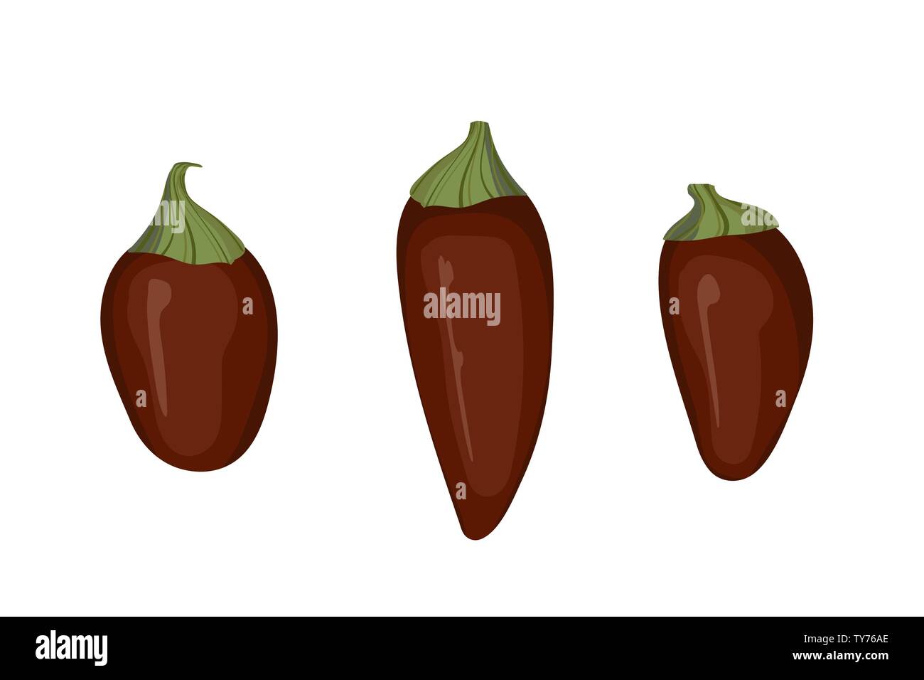 Rosso peperoncino jalapeno. Illustrazione Vettoriale. Verdure piccanti. Illustrazione Vettoriale