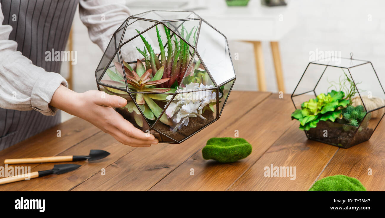 Fare il vostro proprio home concetto di giardino. Master class Foto Stock