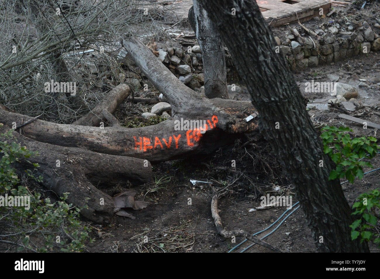 Alberi segnati attendono attrezzature pesanti distacco nella zona devastata su East Valley Road a seguito di martedì scorso della tempesta di pioggia in Montecito, la California il 13 gennaio 2018. Il numero dei morti potrebbe salire come gli equipaggi per continuare la ricerca attraverso circa trenta miglia quadrate di fango e detriti in Santa Barbara e Ventura contee. Rapporti di quanti restano assenti hanno variato in numeri, con Santa Barbara County Sheriff Bill Brown giovedì dicendo 5 persone restano ancora mancante, aggiungendo il pedaggio potrebbe fluttuare significativamente. Foto di Jim Ruymen/UPI Foto Stock