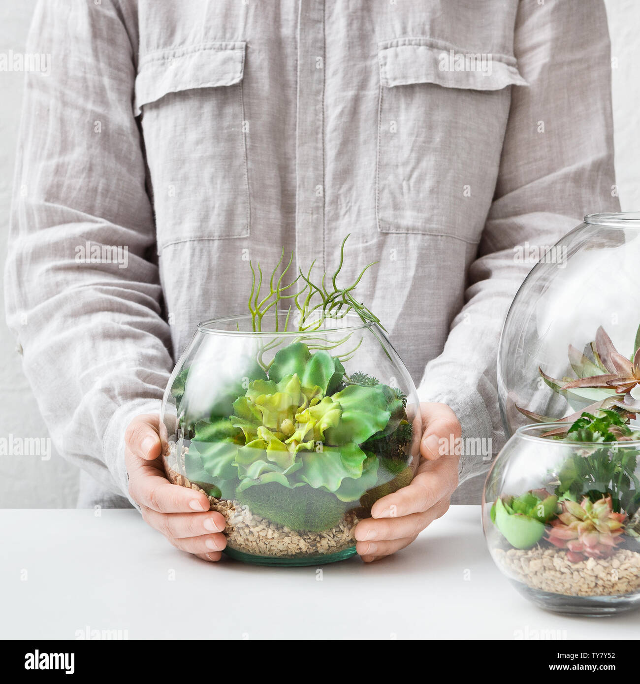 Mini florarium nella donna con le mani in mano. Home Giardinaggio hobby concetto. Foto Stock