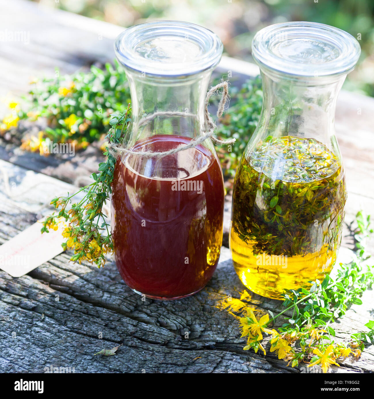 Johanniskrautöl, Johanniskraut-Öl, Rotöl, Johannisöl, hyperici oleum hyperici oleum, wird aus Johanniskrautblüten in Öl gewonnen. Olio di iperico Foto Stock